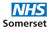 Somerset ICB logo