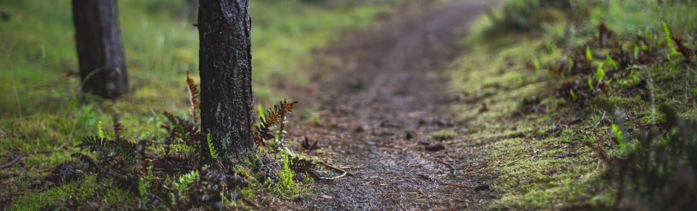 Grounding yourself