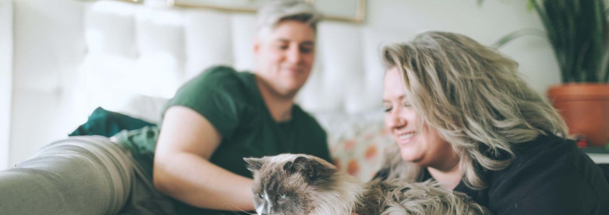 couple playing with cat