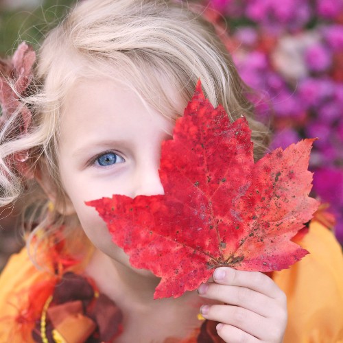 child holding leaf in front of face