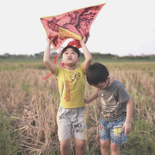 Two children in a field with a kite