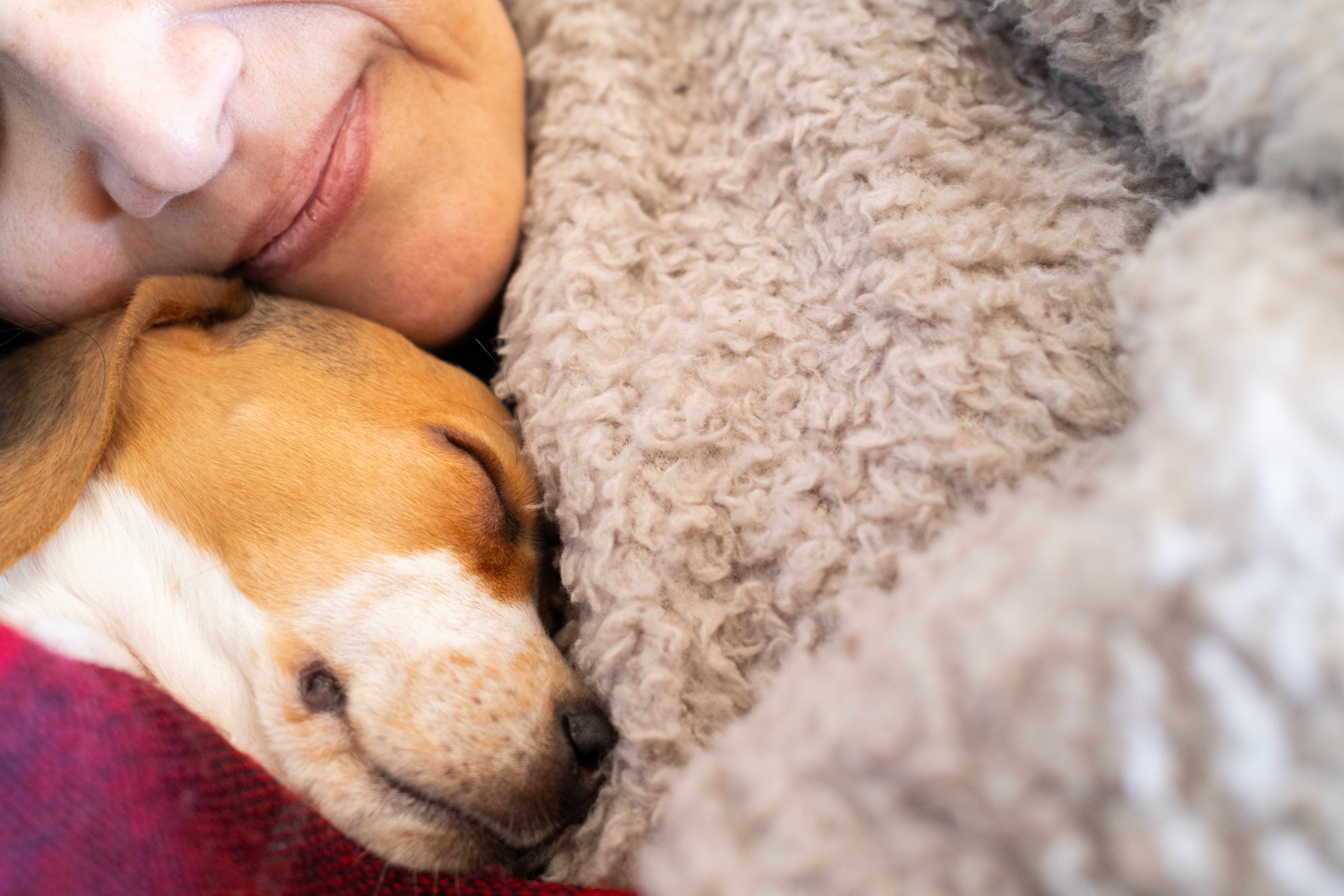 Person with their dog.jpg
