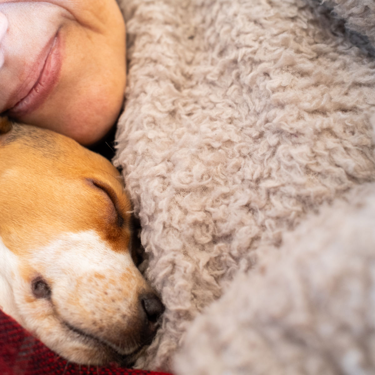 Person with their dog.jpg