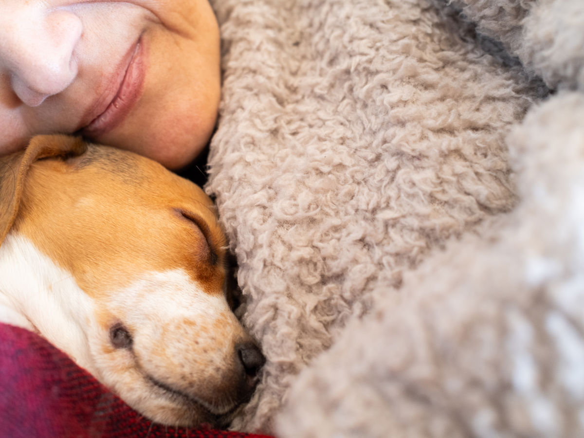 Person with their dog.jpg